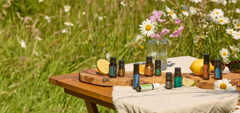 ateliers huiles essentieslles Huiles essentielles disposées sur une table dans un pré